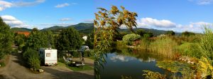 Natuur_Camping